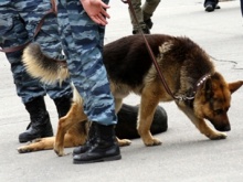 В Нижнем Новгороде много телефонных хулиганов