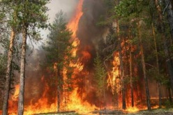 Вокруг озера Байкал бушуют пожары