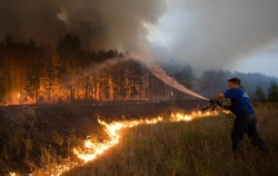 Лесные пожары волнуют власть РФ